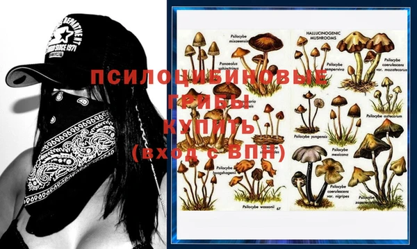 мяу мяу кристалл Богородск