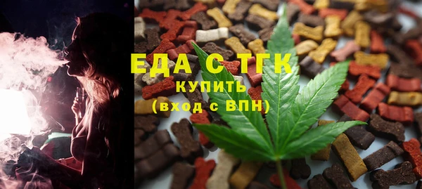 крисы Бородино
