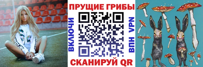 darknet как зайти  Верхнеуральск  Псилоцибиновые грибы мухоморы 